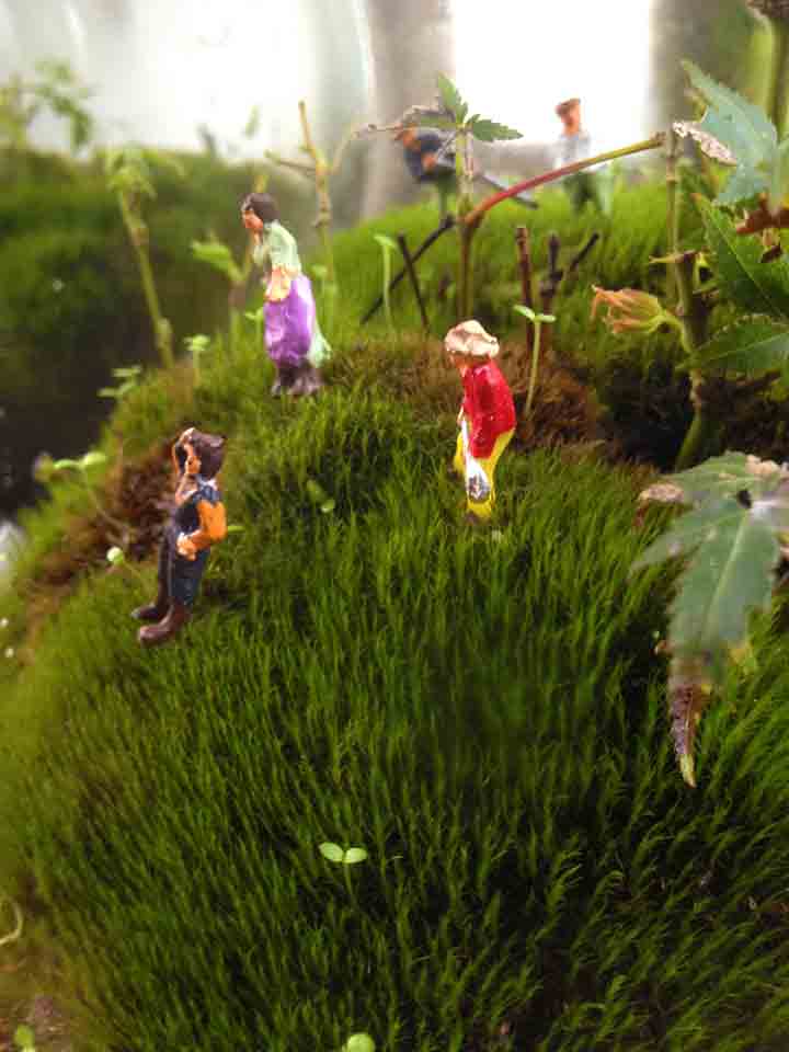 Ecosferes