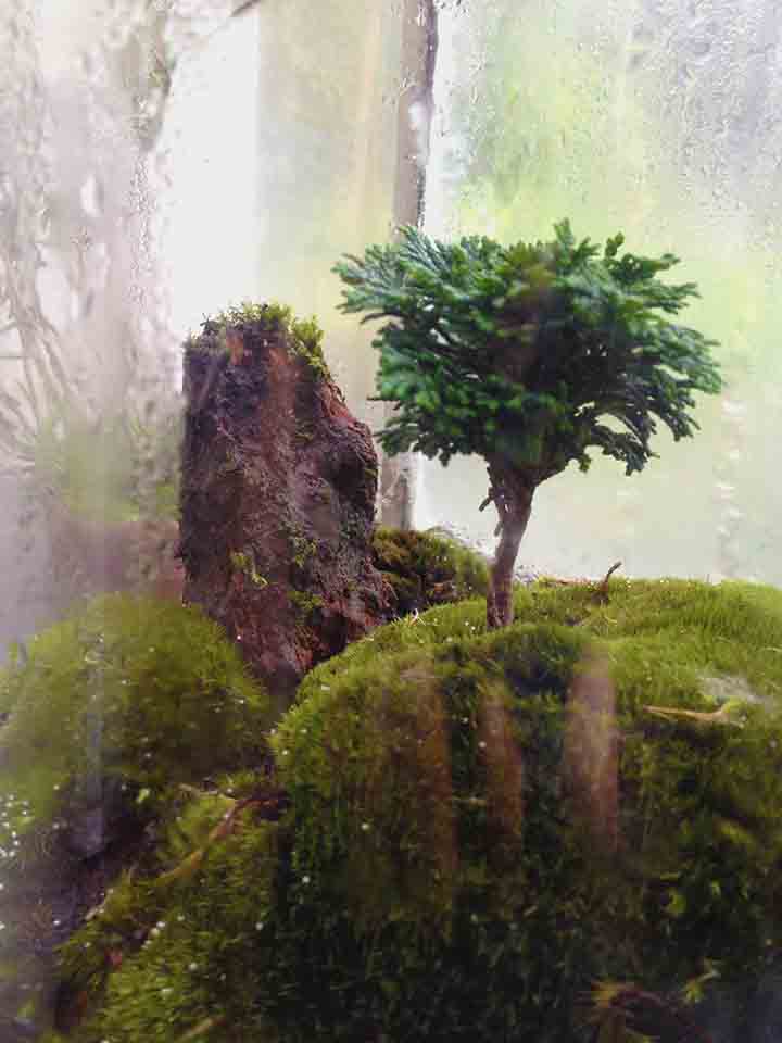 Ecosferes by Daniel Pavon Cuellar