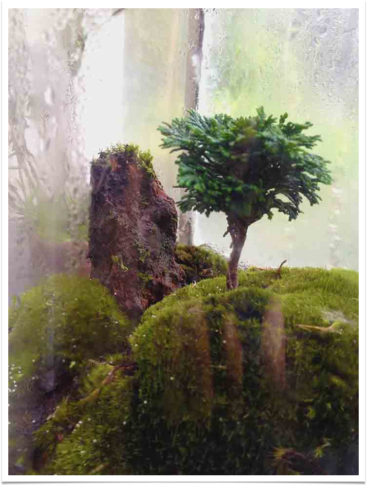 Ecosferes by Daniel Pavon Cuellar