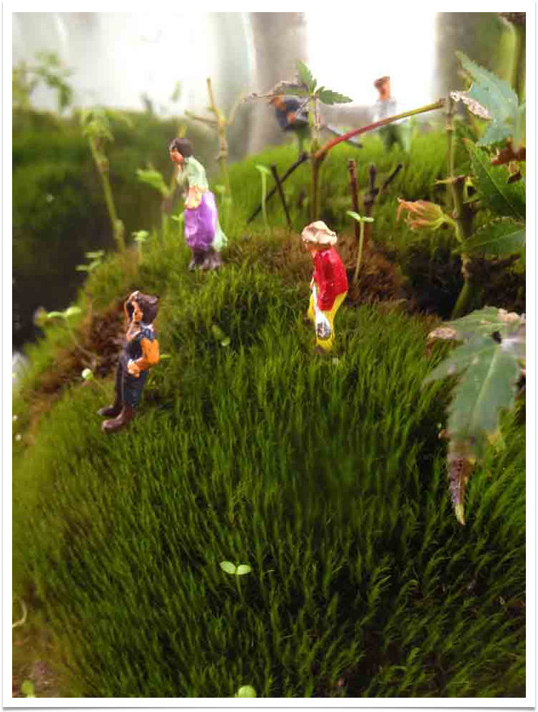 Ecosferes